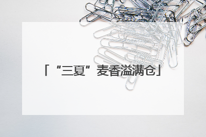 “三夏”麦香溢满仓